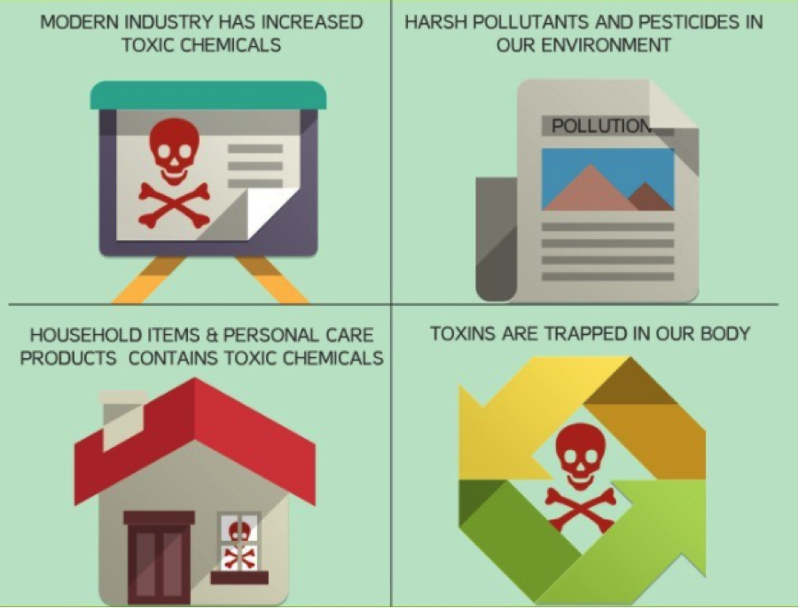 cleanse ans detox picture