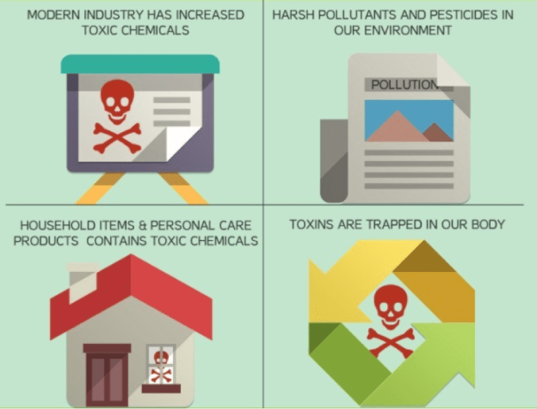 cleanse ans detox picture