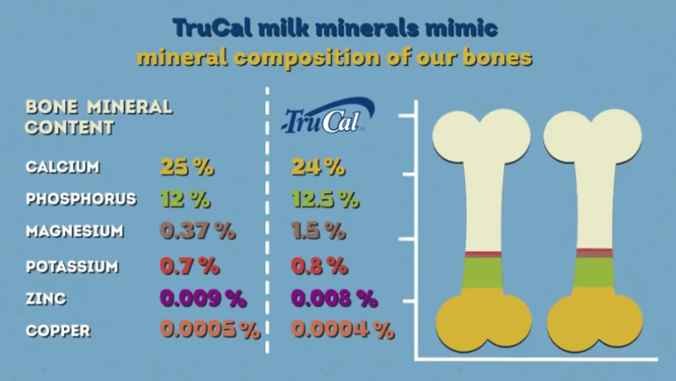 Screen Shot 2018-01-31 at 3.51.21 PM.png