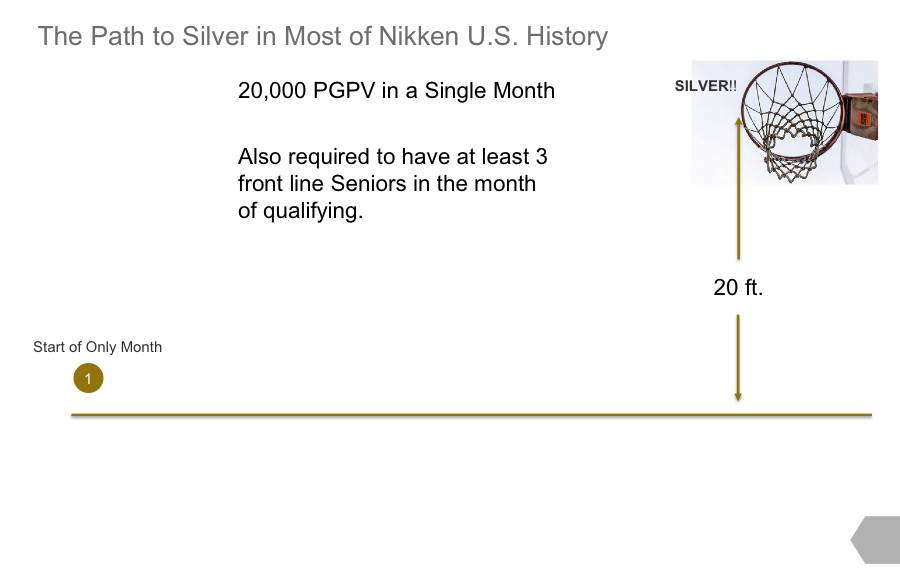 Path to Silver Nikken History
